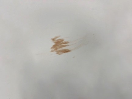 Picture3.jpg