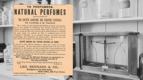 Leo. Bernard Co Natural Perfumes Vintage Ad