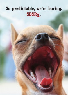 Yawning-Dog-Cover-234x328.jpg